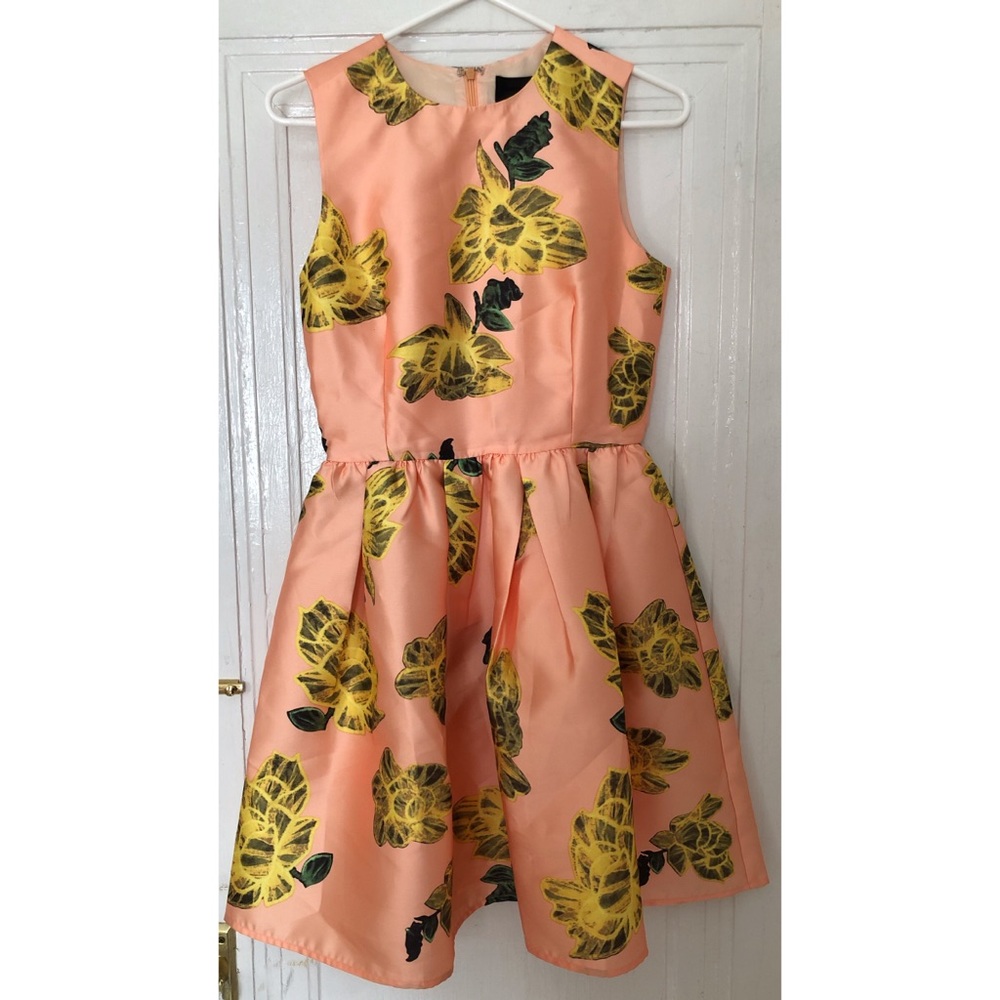 Tuckernuck Blaque Label Floral Fit and Flare Dress
